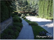 Аллея парк Айвазовского Аллея парк Айвазовского