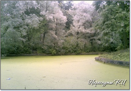 Прогулки и экскурсии по Москве. Прогулки и экскурсии по Москве.