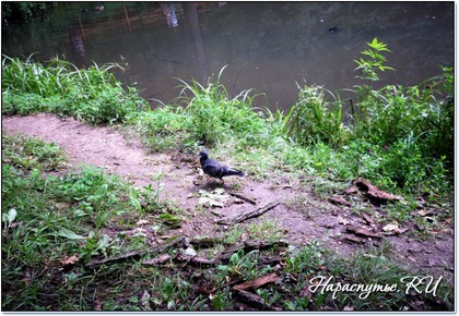 Воробъёвы горы