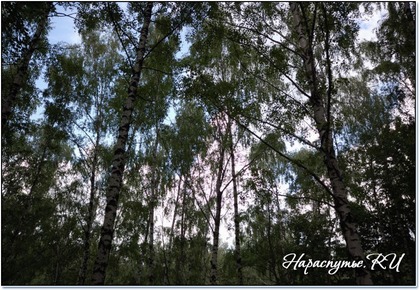 Воробъёвы горы