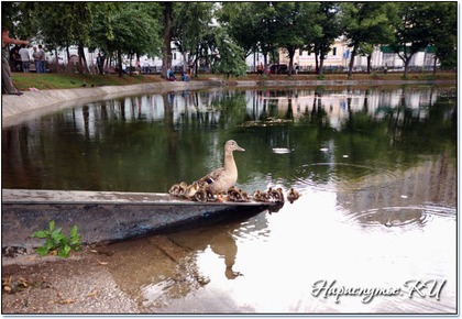 Чистые пруды Чистые пруды