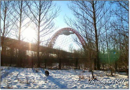  - фотографии. Живописный мост. 