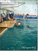 Катание на лодке с дельфином Катание на лодке с дельфином