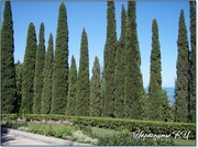 Парк Айвазовского Парк Айвазовского