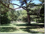 Парк Воронцовский дворец Парк Воронцовский дворец