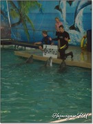 Песня дельфинов Партенит Песня дельфинов Партенит