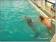 Плавание с дельфином в Партените Плавание с дельфином в Партените