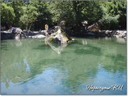 Пруд в Воронцовском парке Пруд в Воронцовском парке