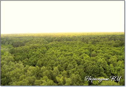 Парки Москвы- Лосиный остров. и экскурсии. Парки Москвы- Лосиный остров. и экскурсии.