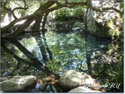 Воронцовский парк Воронцовский парк