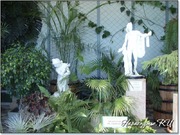 Зимний сад в Воронцовском дворце Зимний сад в Воронцовском дворце